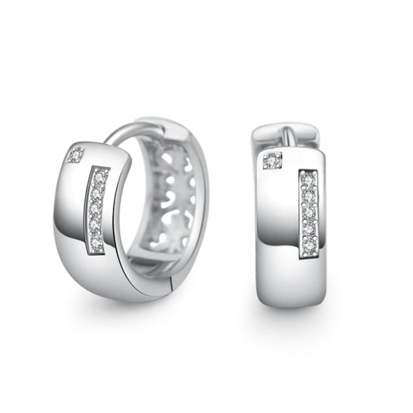 Jewelry - 925 Sterling Silver Zircon Charm Stud Earrings